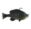 Savage Gear PULSE TAIL READY-TO-FISH BLUEGILL 4" 1-1/4 OZ BLACK GILL